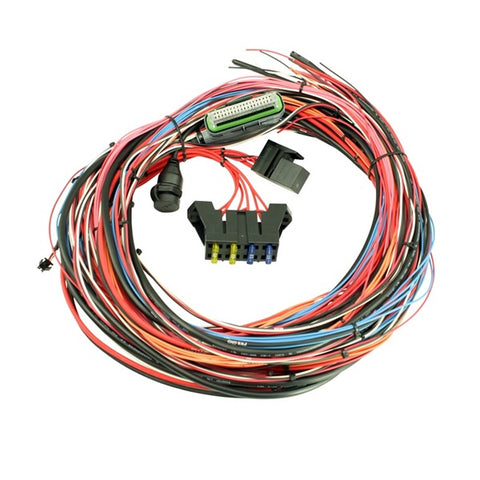 AEM EMS-4 WIRING HARNESS W/FUSE & RELAY PANEL: 96 INCH