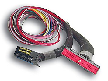 AEM UNIVERSAL EMS 72 RACE HARNESS