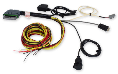 AEM AQ-1 OBDII WIRE HARNESS WITH OBDII CONNECTOR